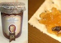  The Most Interesting Jam (  )